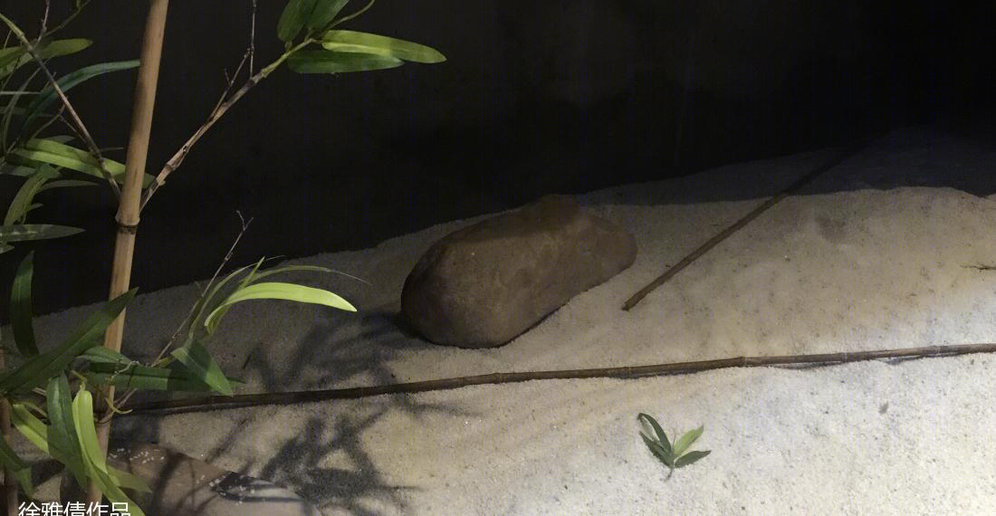 
又见工业风 -6