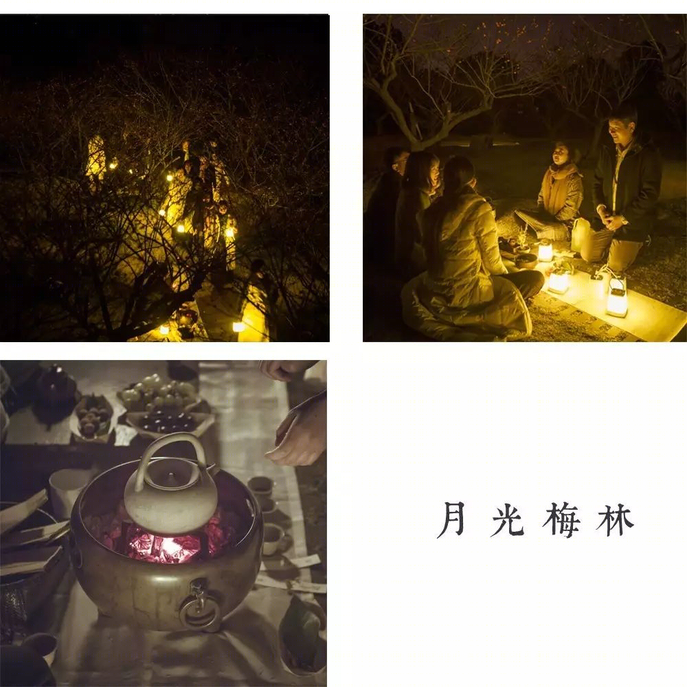 梅林寻梦 | 永嘉原野庄园梅园-61