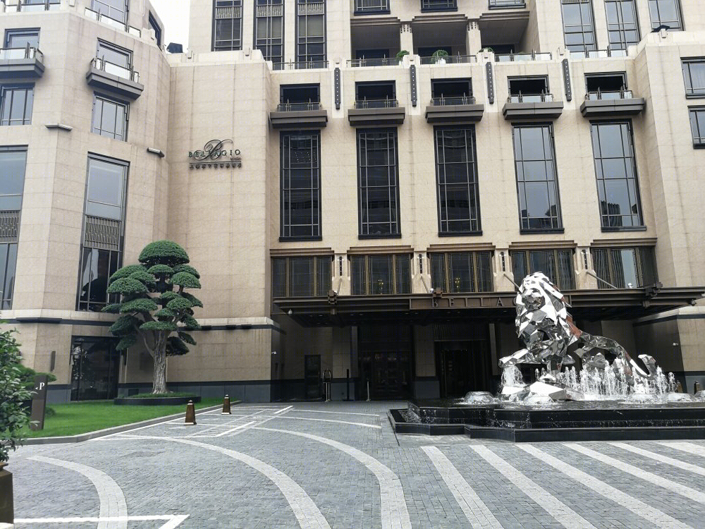 上海苏宁宝利嘉酒店-8