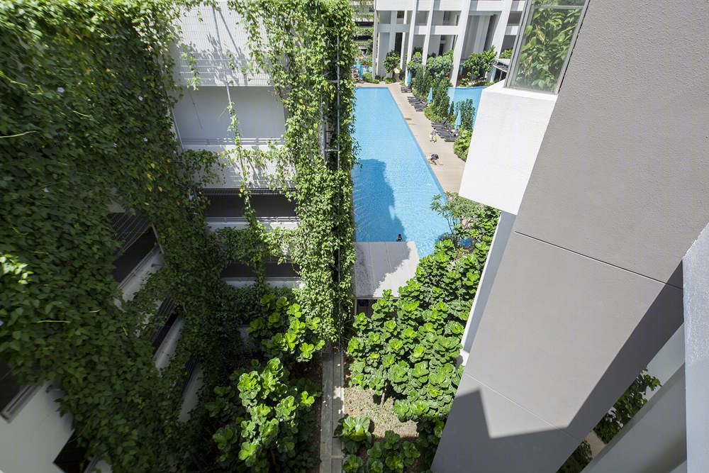 新加坡远景住宅-22