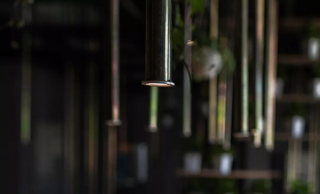 建业百岁鱼火锅——镜湖垂钓,火辣鲜美-15