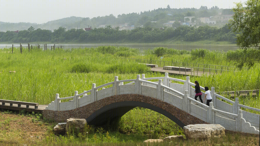 湖南湘江八喜洲岛-13