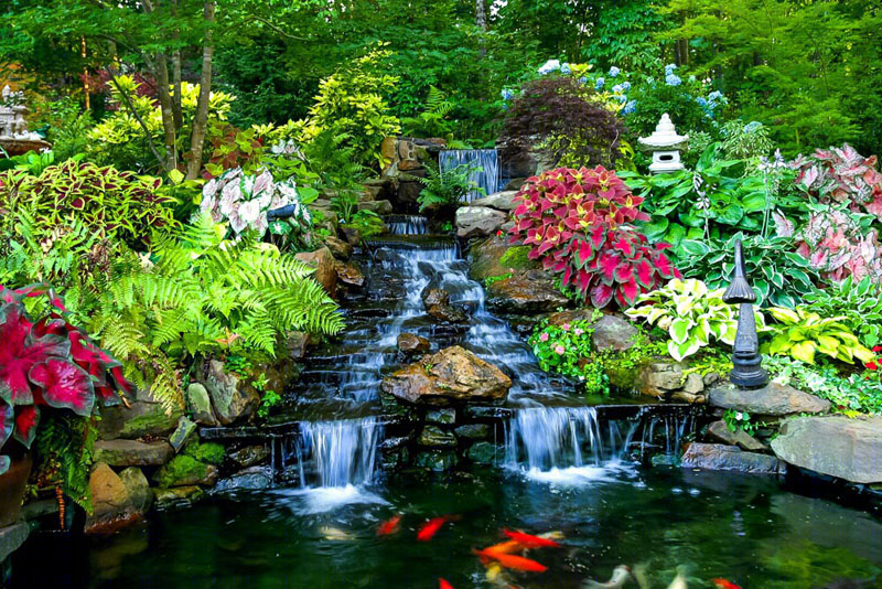 Artistic Landscapes 住宅小院的水景景观-16