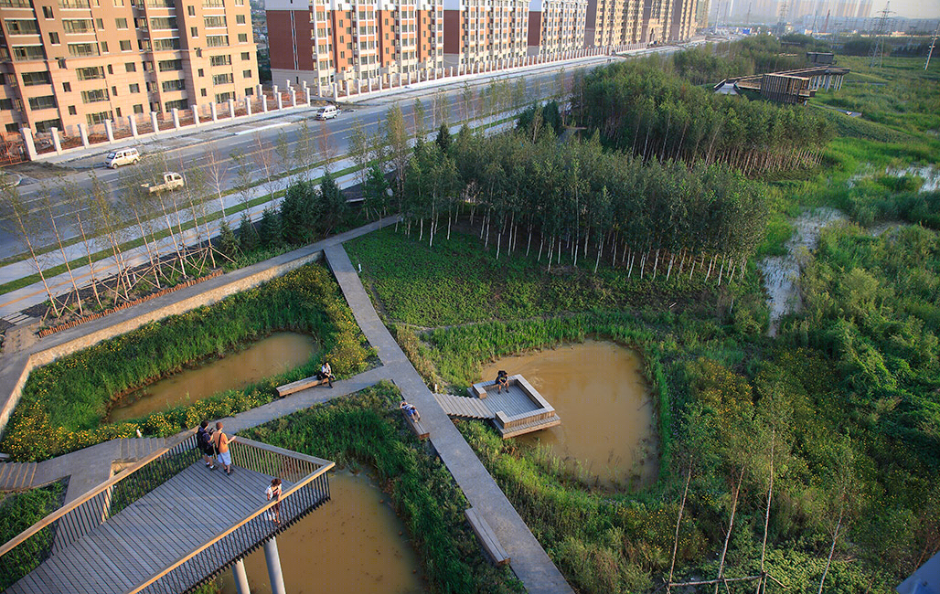 哈尔滨群力国家城市湿地-2
