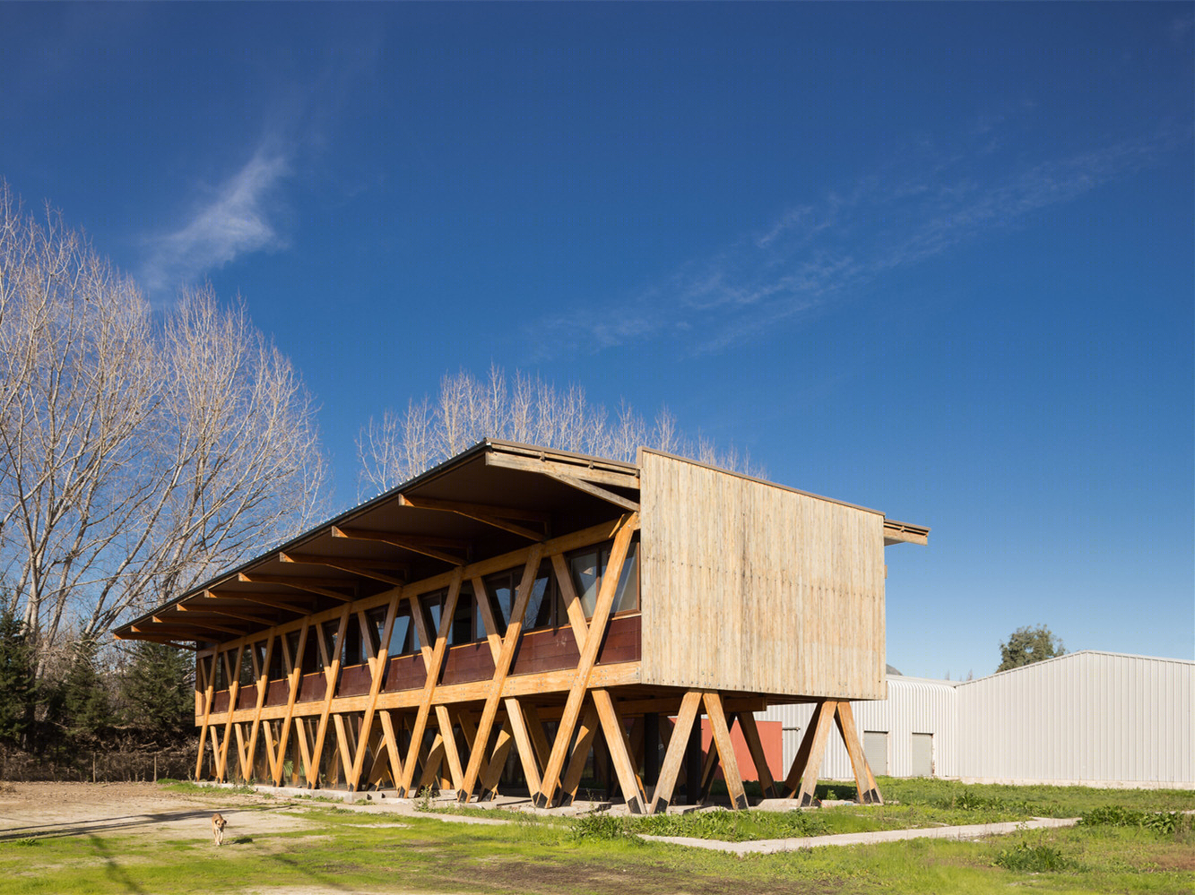智利 Licanray 公司蜂蜜出口工作室丨DX Arquitectos,DEL SANTE Arquitectos-8