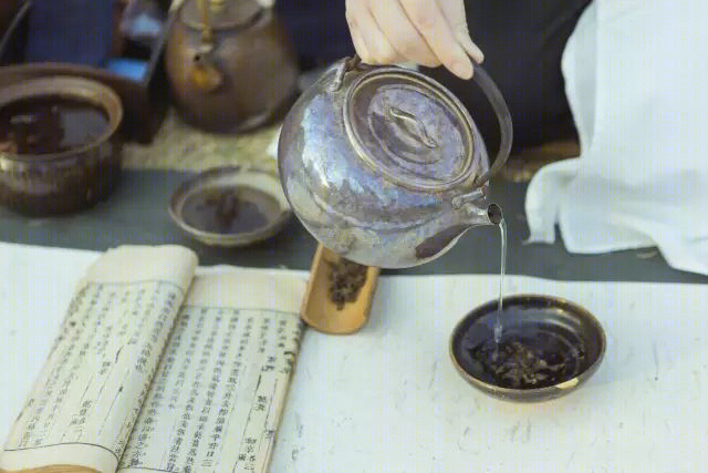 梅林寻梦 | 永嘉原野庄园梅园-66