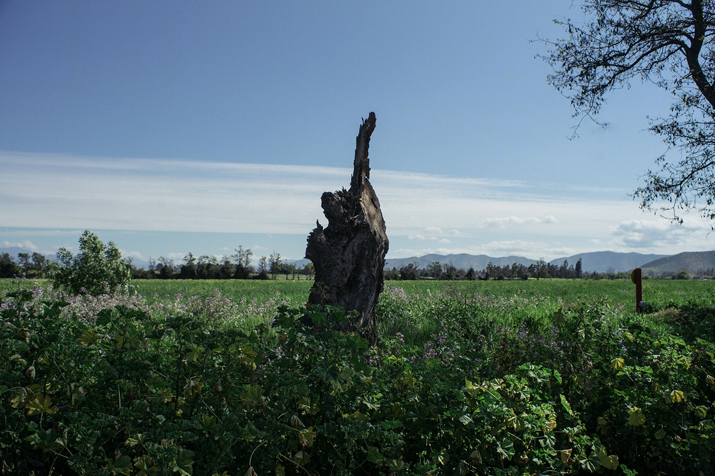 La Grieta Invisible-2
