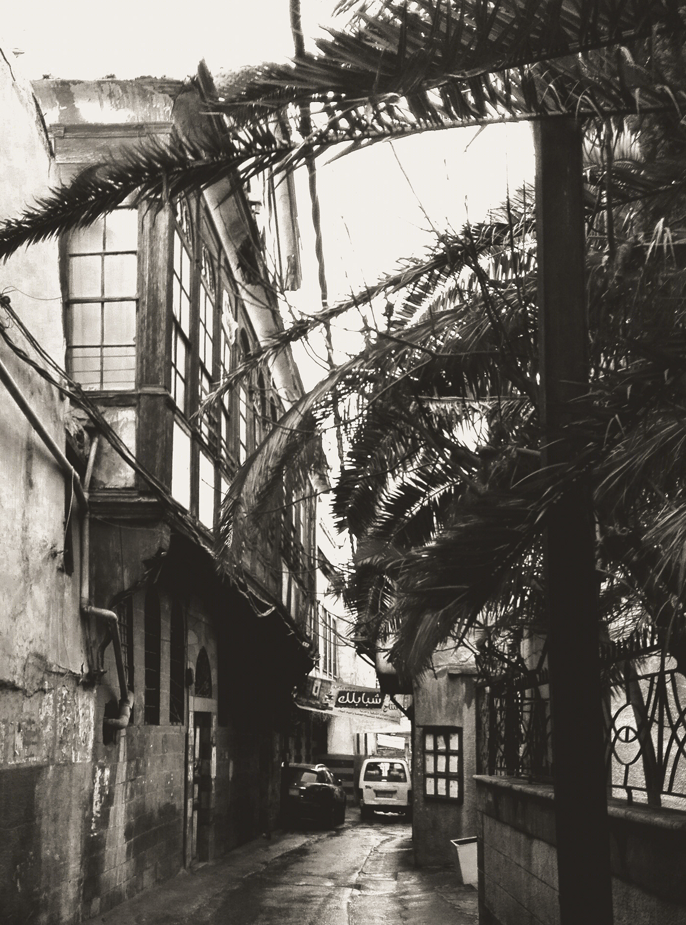 Anastasiya Gushchina丨公寓建筑丨Black And White Old Damascus-0