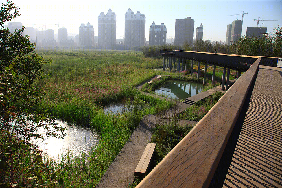 哈尔滨群力国家城市湿地-4