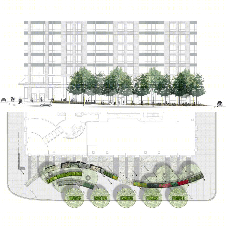 美国1101K街道景观-11