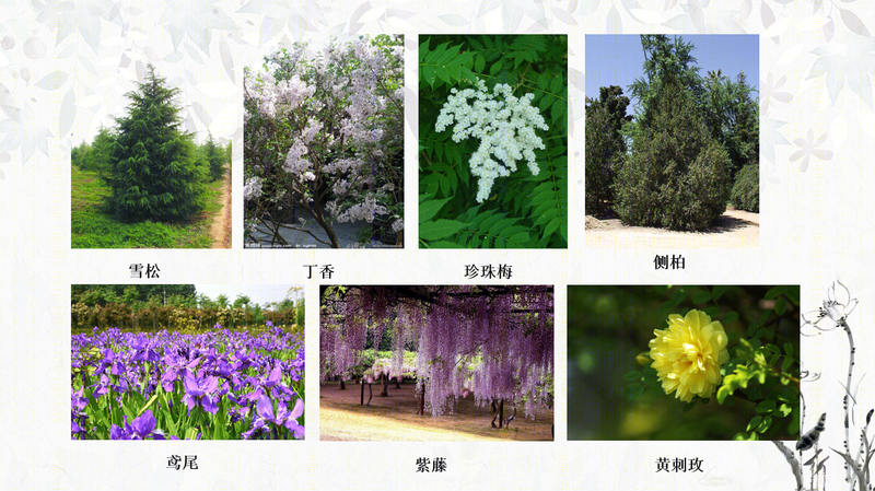 绿地别墅-41
