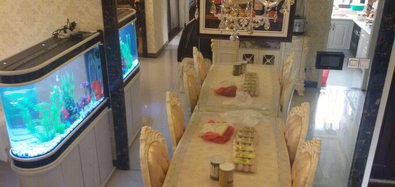 卢作鹏跃层别墅-9