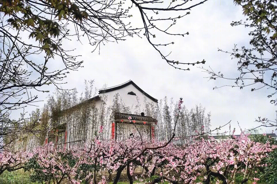 上海“乡村振兴示范村”·吴房村丨中国美术学院风景建筑设计研究总院-53