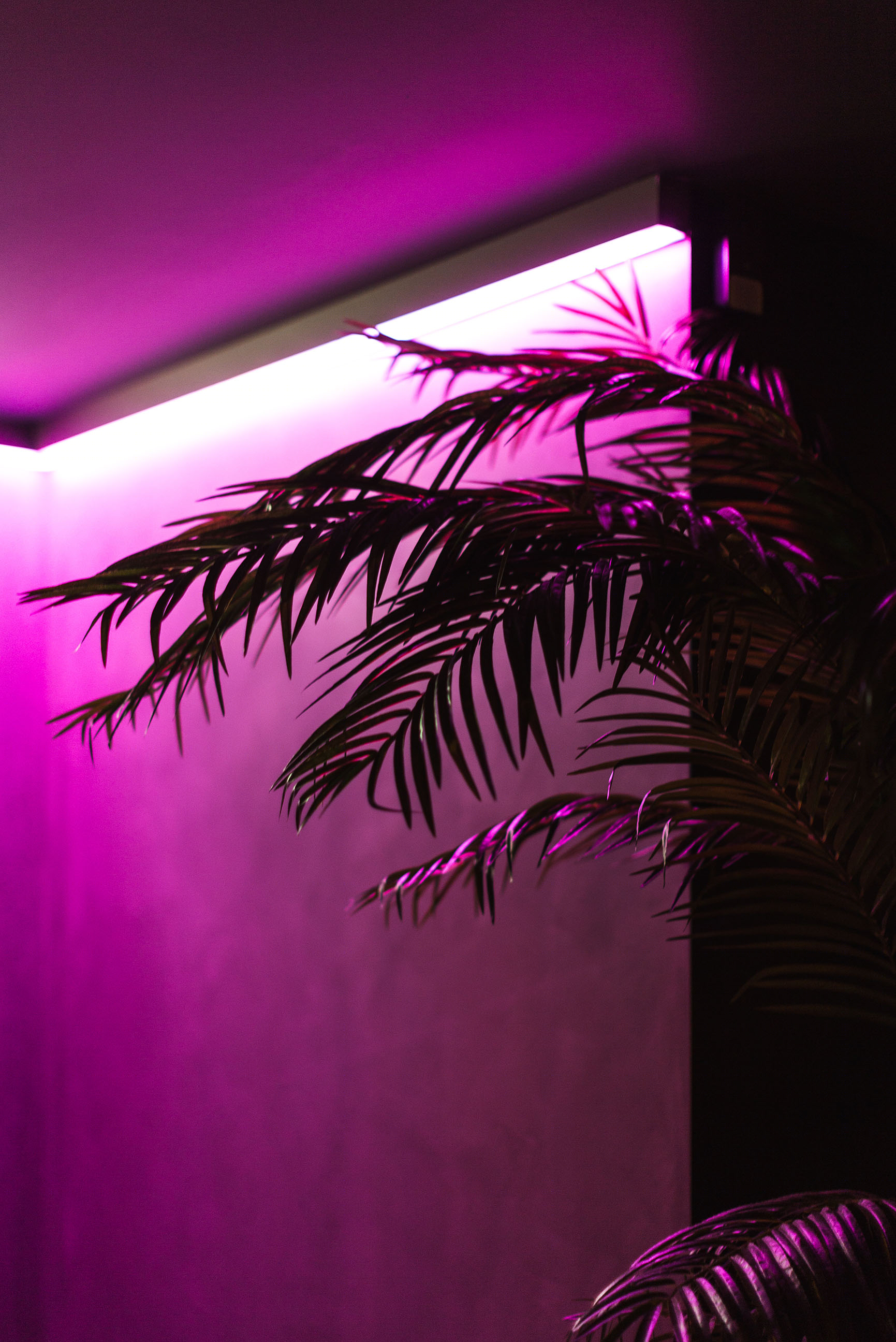 Ling Ling, Hakkasan Radius Design-13