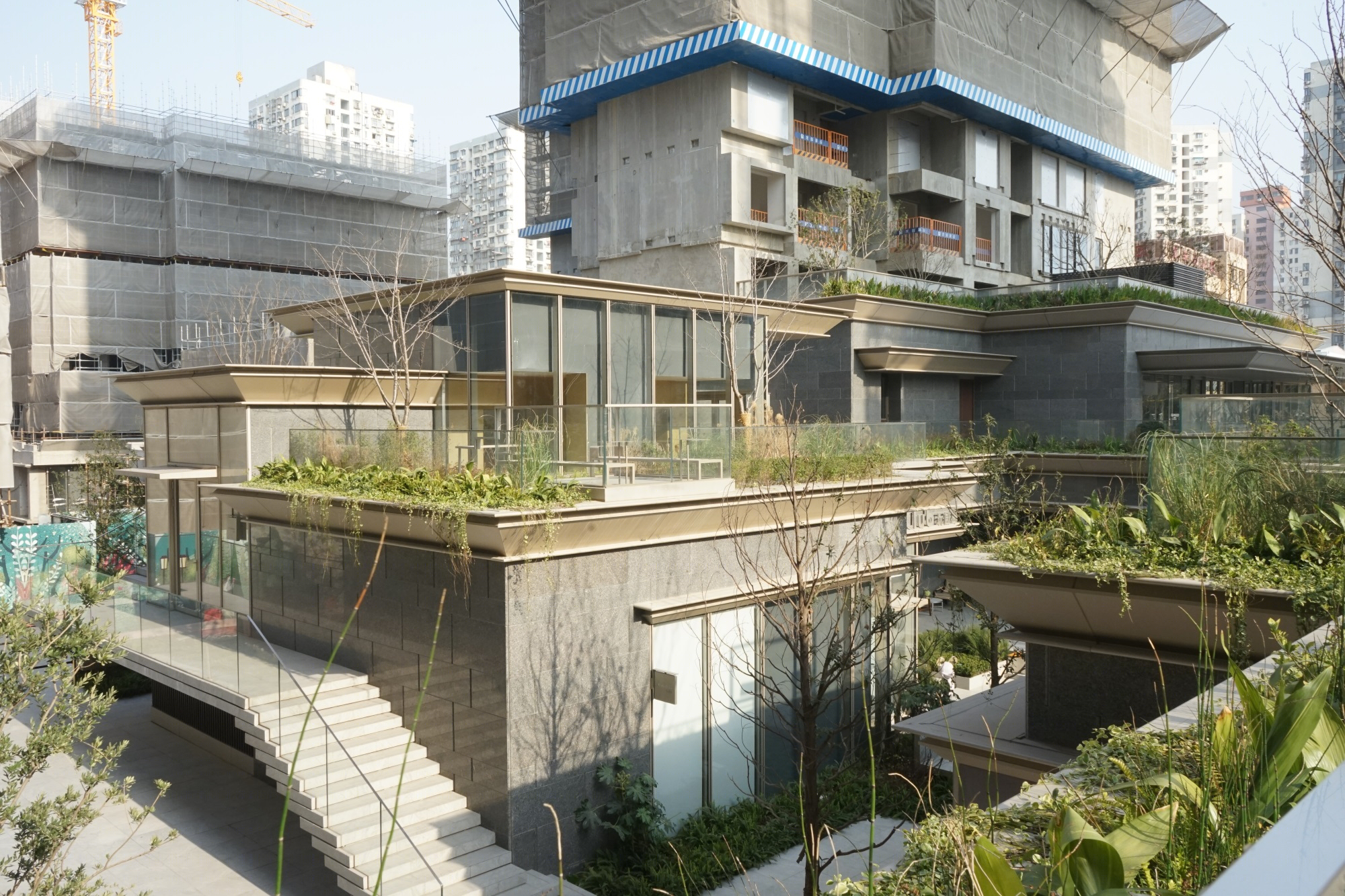 仁恒·海上源丨中国上海丨T.R.O.P:terrains +open space,魏玛景观-176