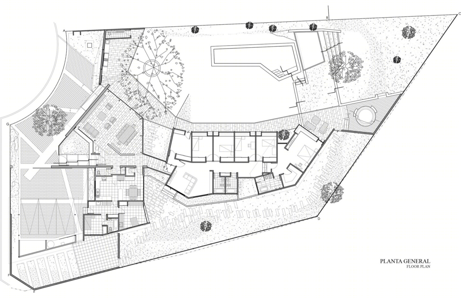 智利Piedra Roja住宅-29