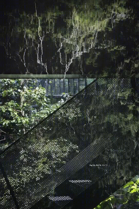 哥本哈根摄影师私人住宅,中庭绿意盎然-52