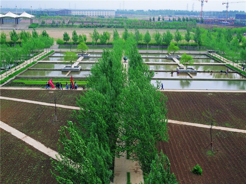 沈阳建筑大学稻田校园-3