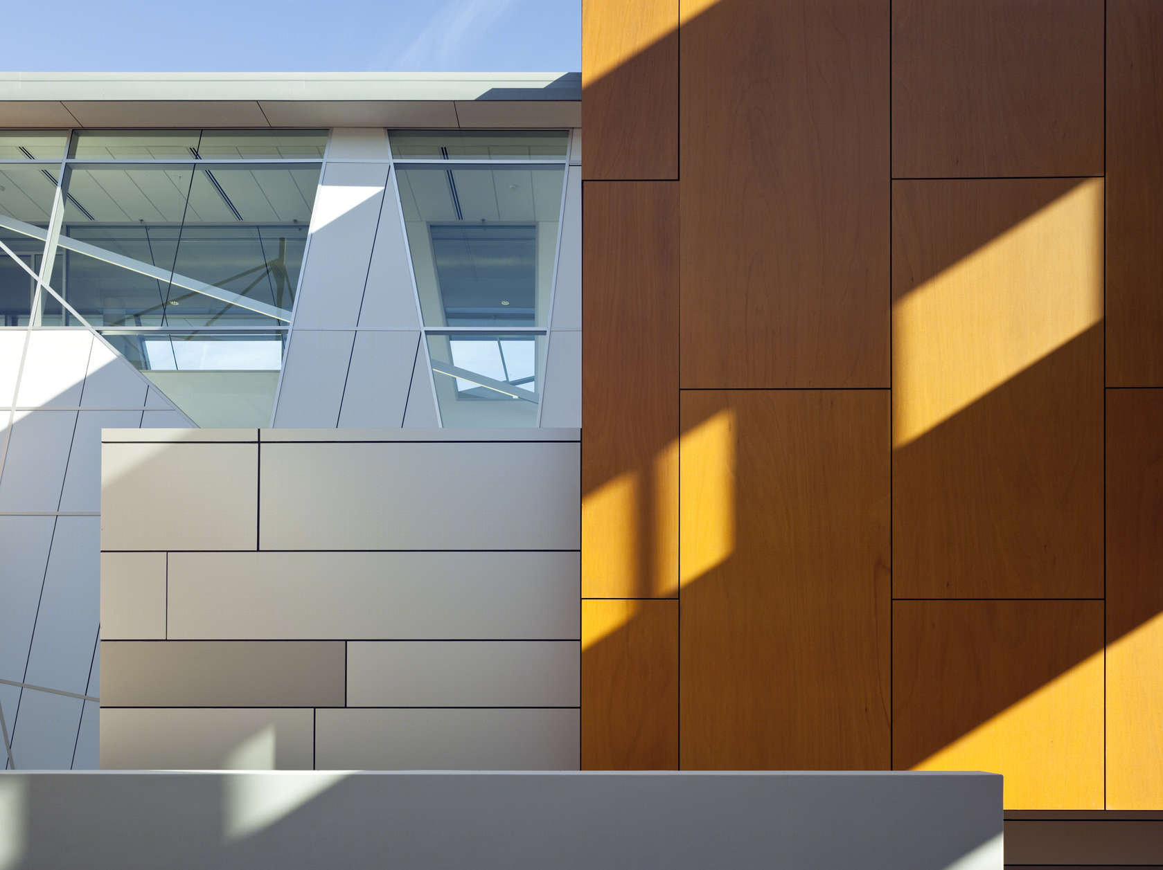 黑镇医学院及研究中心丨MSJ Architects-22