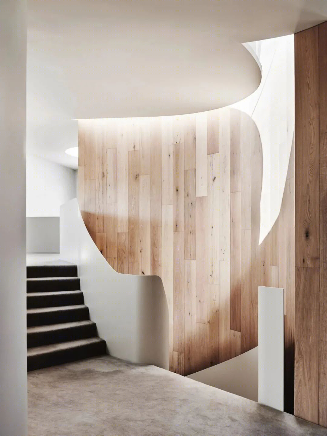 墨尔本极简豪宅丨澳大利亚墨尔本丨Leeton Pointon Architect-23