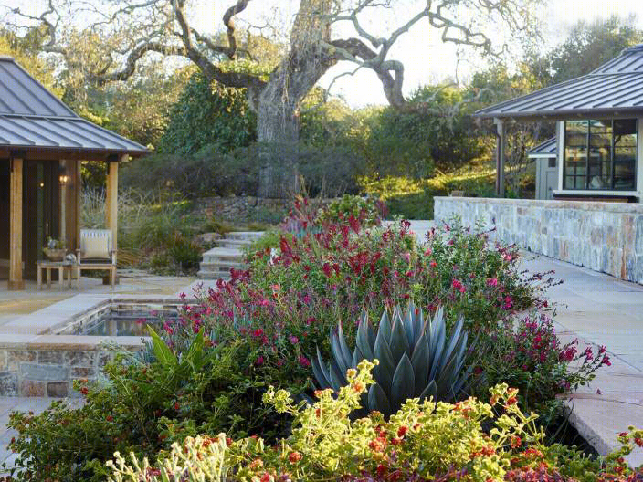 美国度假别墅花园（America Holiday Villa Garden）-9