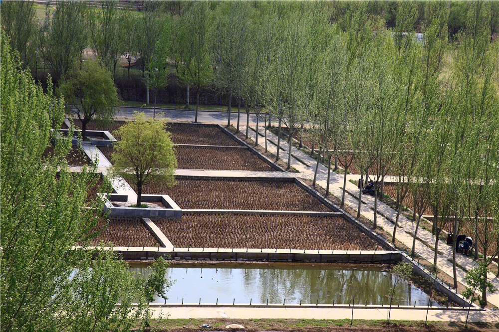沈阳建筑大学稻田校园-11