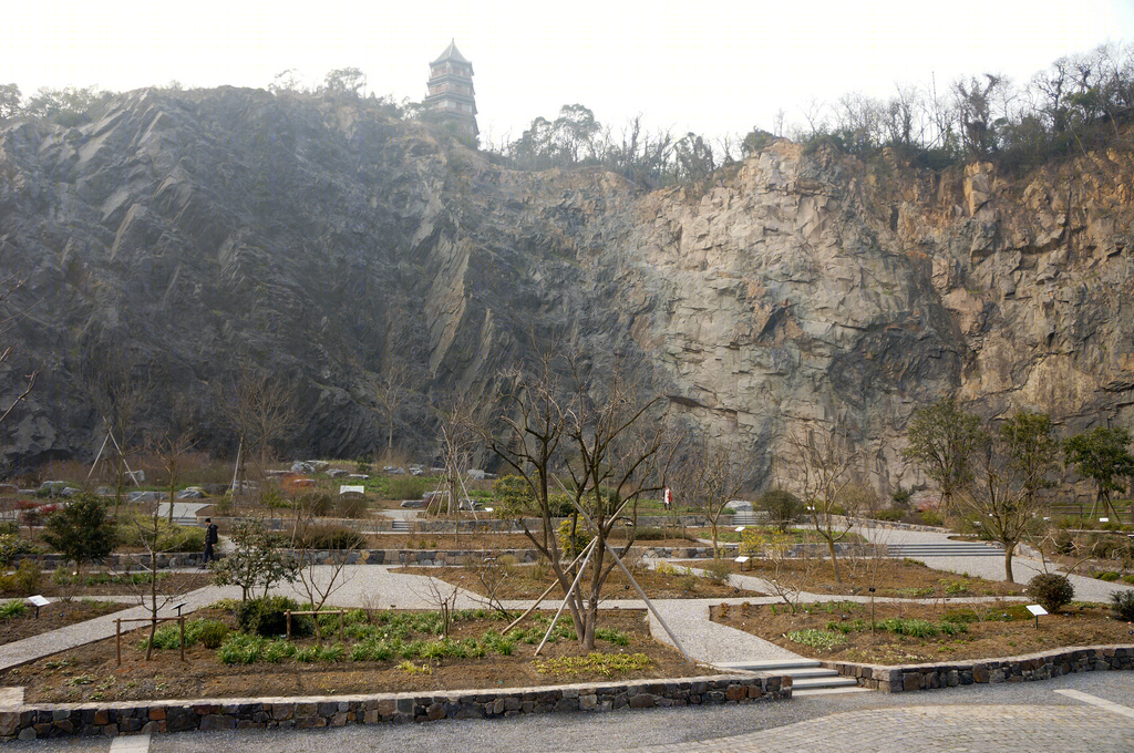 上海辰山植物园矿坑花园-61