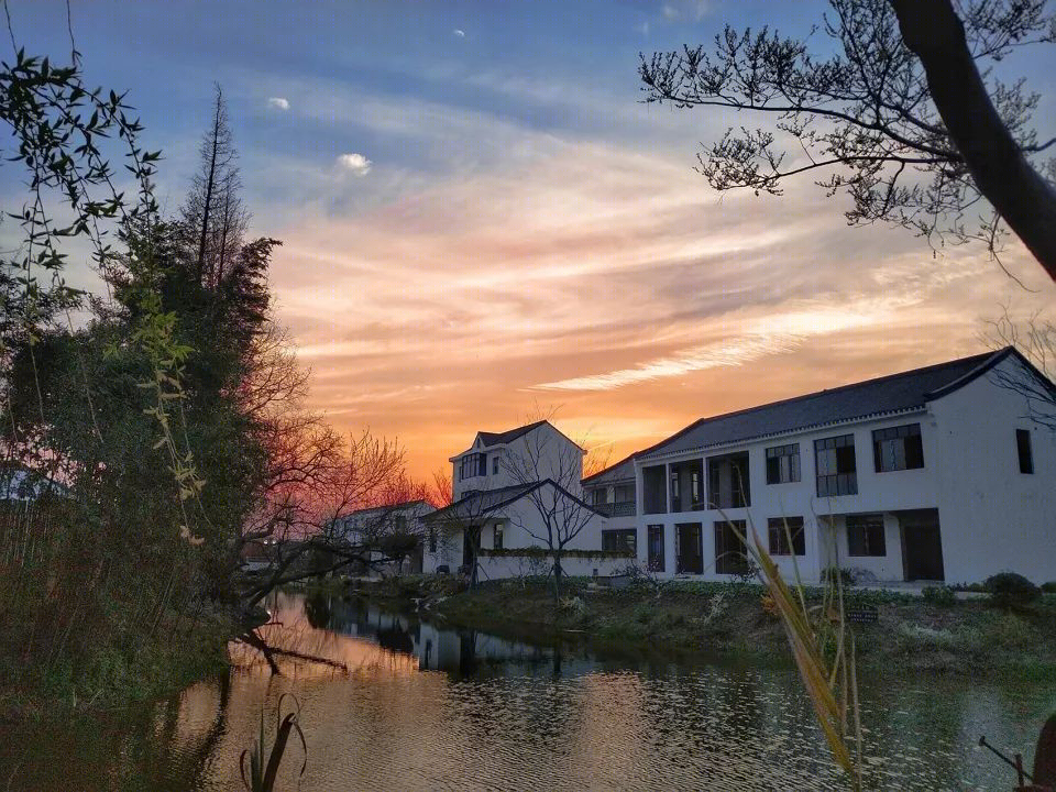 上海“乡村振兴示范村”·吴房村丨中国美术学院风景建筑设计研究总院-63