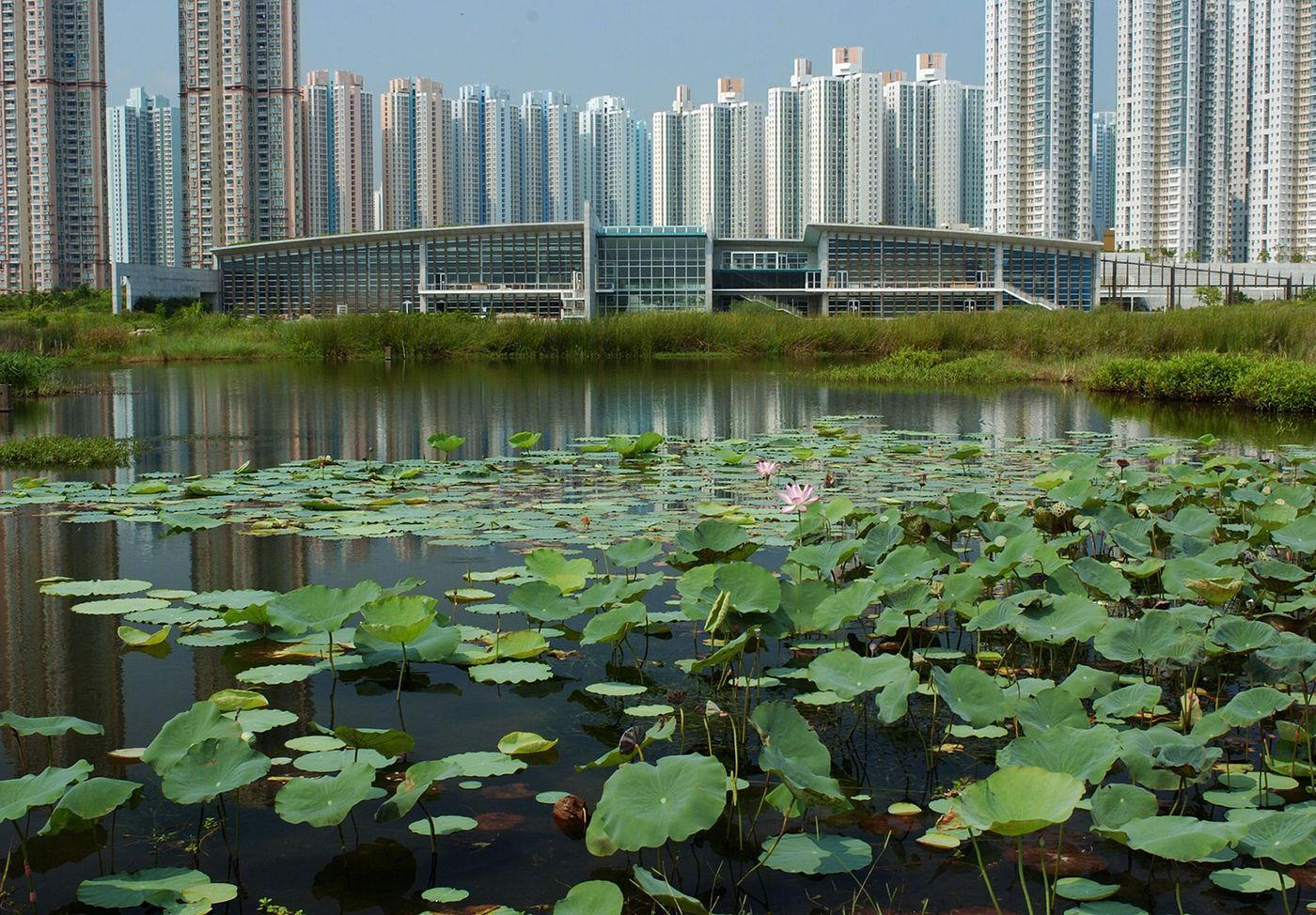 香港湿地公园-10
