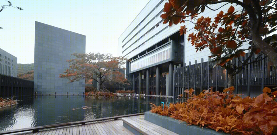 三亚太阳湾柏悦酒店丨中国三亚丨北京市建筑设计研究院有限公司,DENNISTON(马来西亚)-18