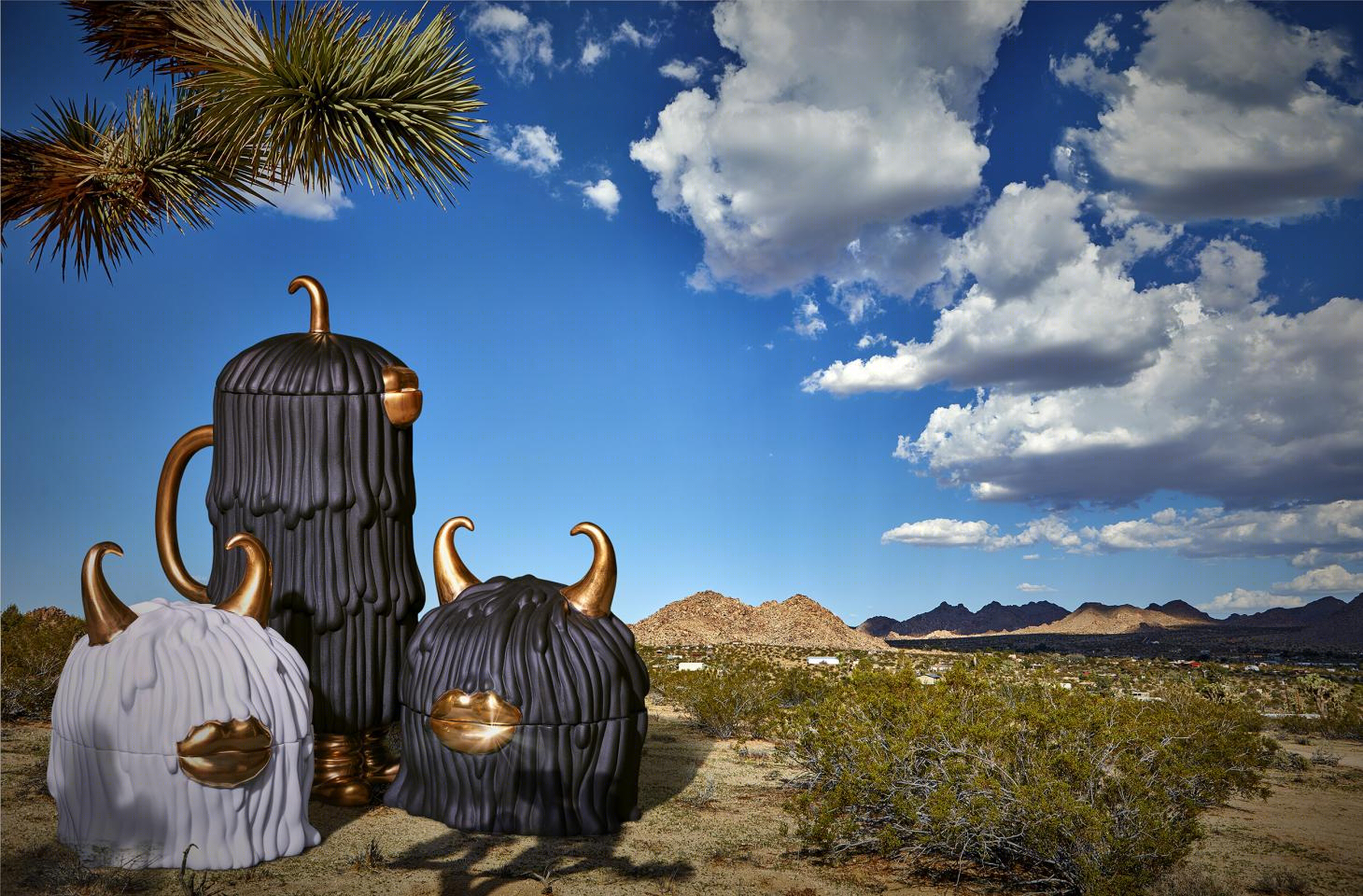 奇幻陶瓷 | Joshua Tree 中的 Haas L’Objet collection-6