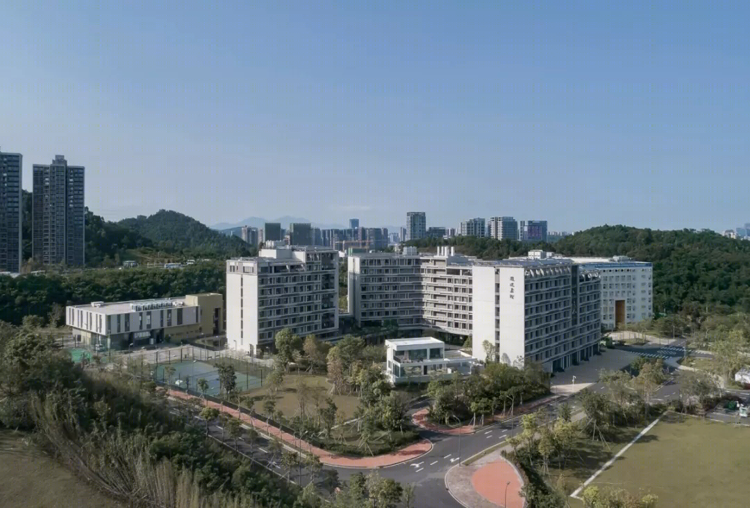 香港中文大学思廷学院-6