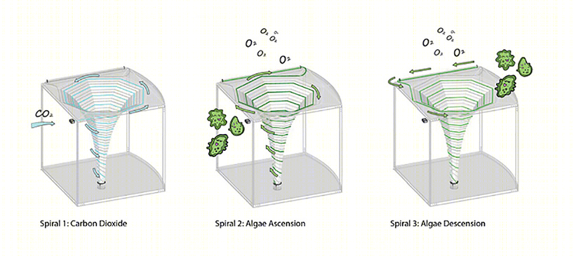 美国“algaevator”环保亭子-18