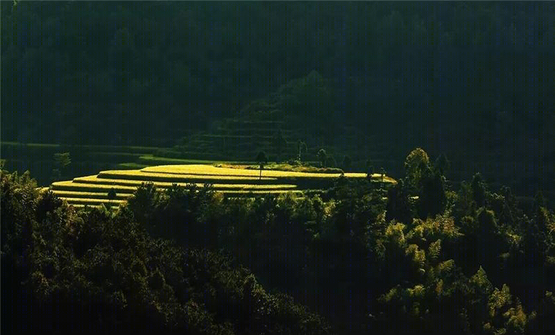 如山小住 · 500 平米农村别墅的温情设计-26