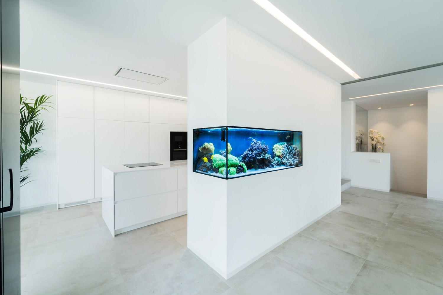西班牙水族馆住宅-19