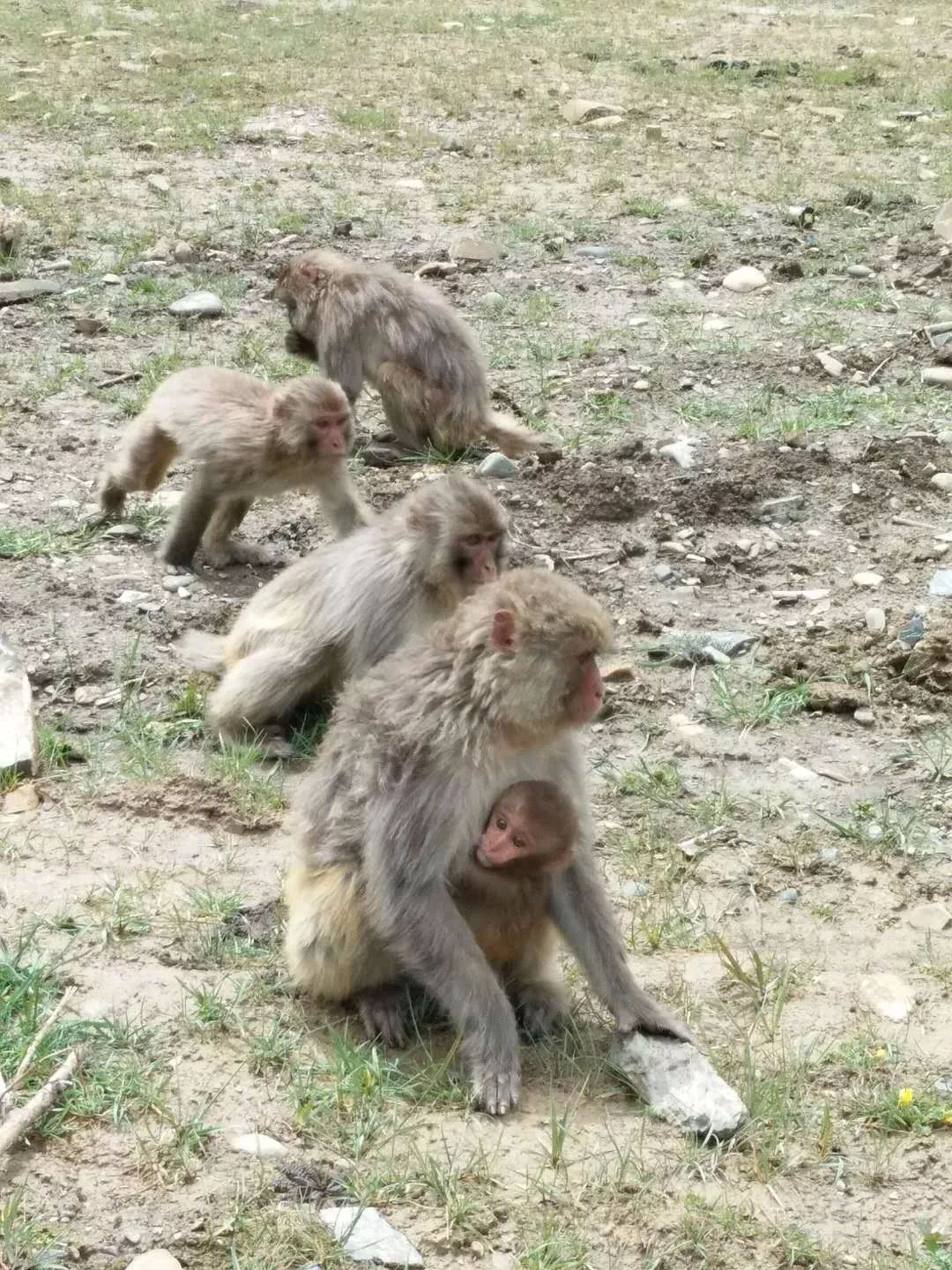 色达之旅 | 心灵净土的室内设计解读-48