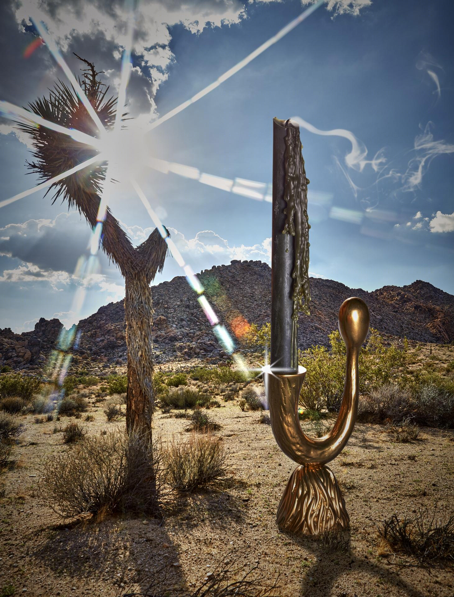 奇幻陶瓷 | Joshua Tree 中的 Haas L’Objet collection-12