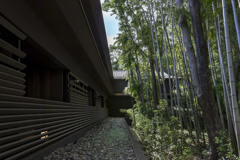 早稻田大学村上春树图书馆丨日本东京丨隈研吾建筑都市设计事务所-95