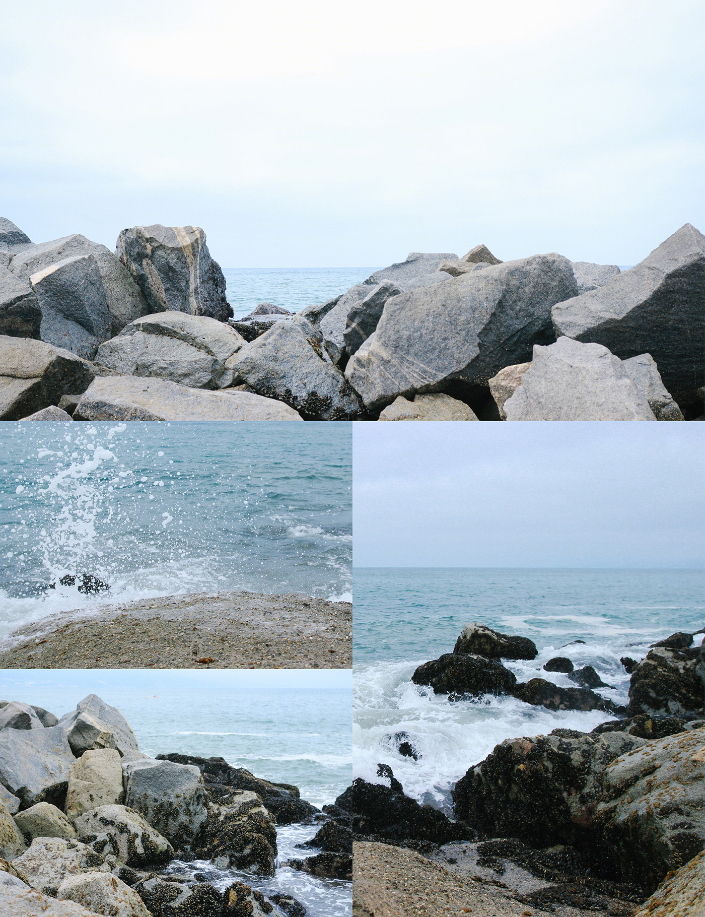 Venice Beach - California-1