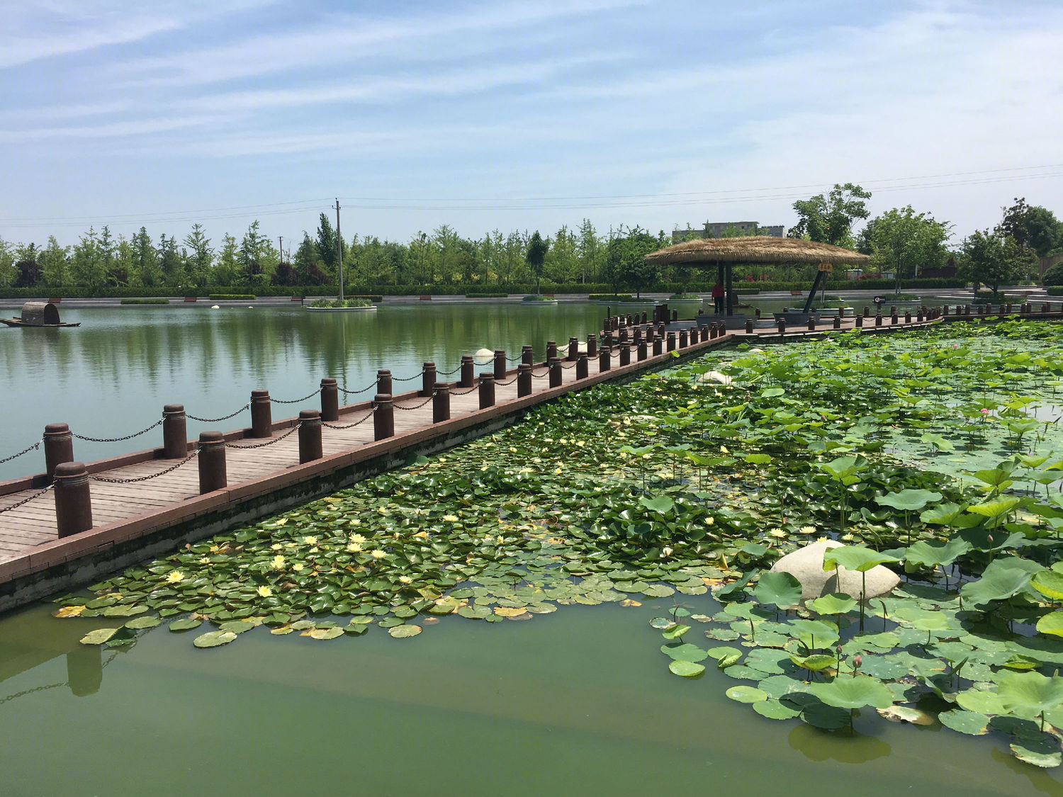 沣河滨河公园-70