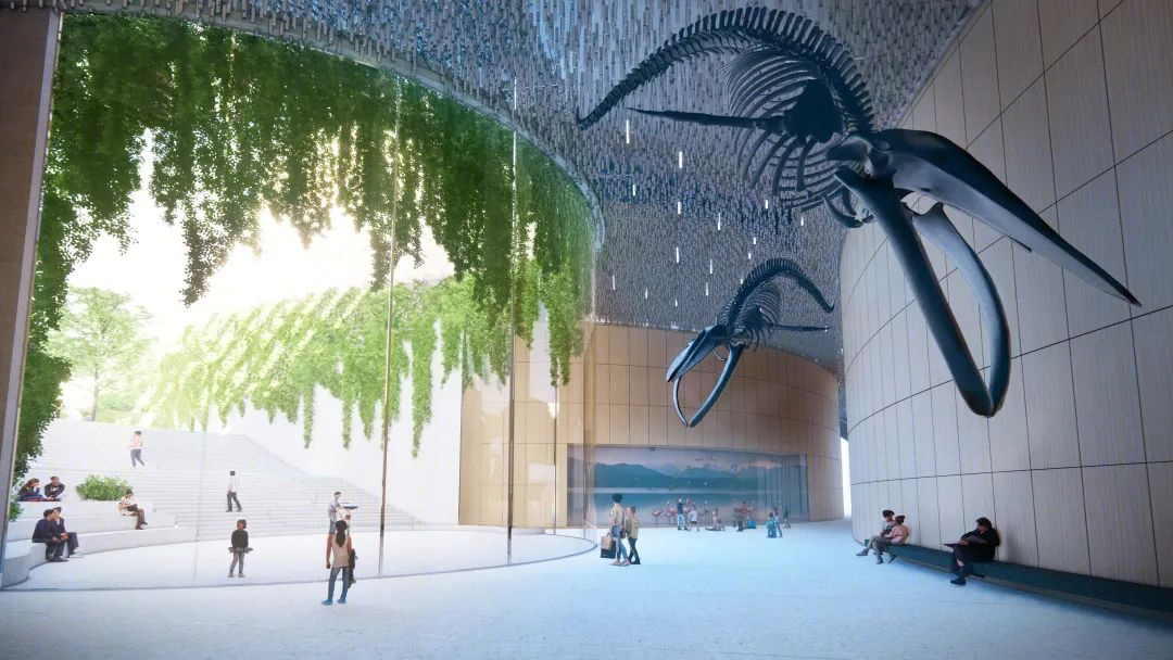 深圳自然博物馆丨贝加艾奇(B+H),3XN,筑博设计（联合体）-66