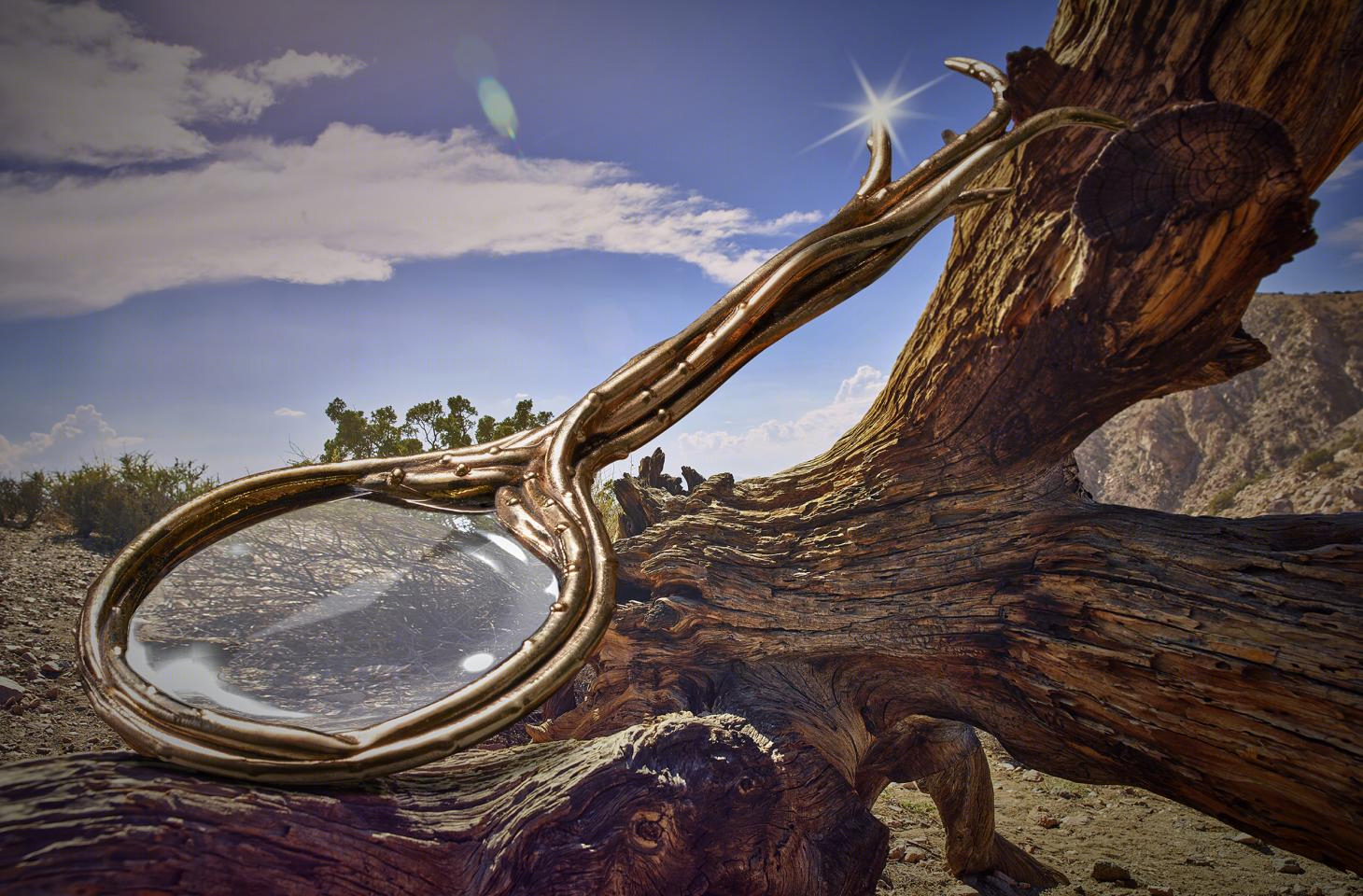 奇幻陶瓷 | Joshua Tree 中的 Haas L’Objet collection-14