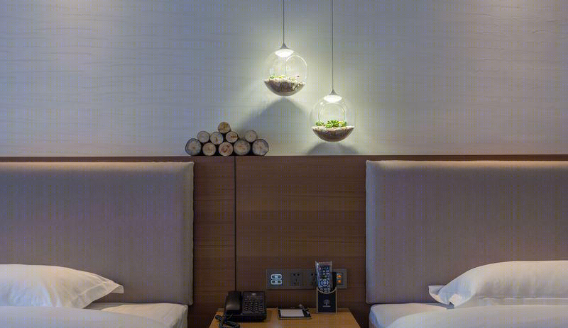 四川都江堰香樟树花园酒店-44