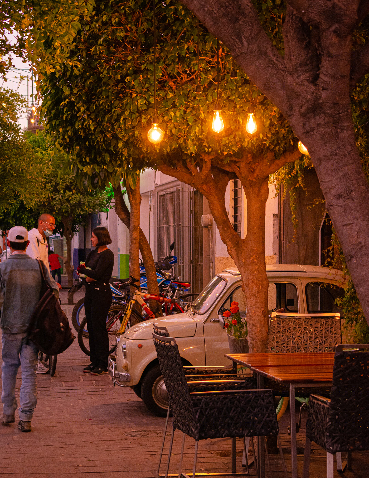 Tlaquepaque Rosa-0
