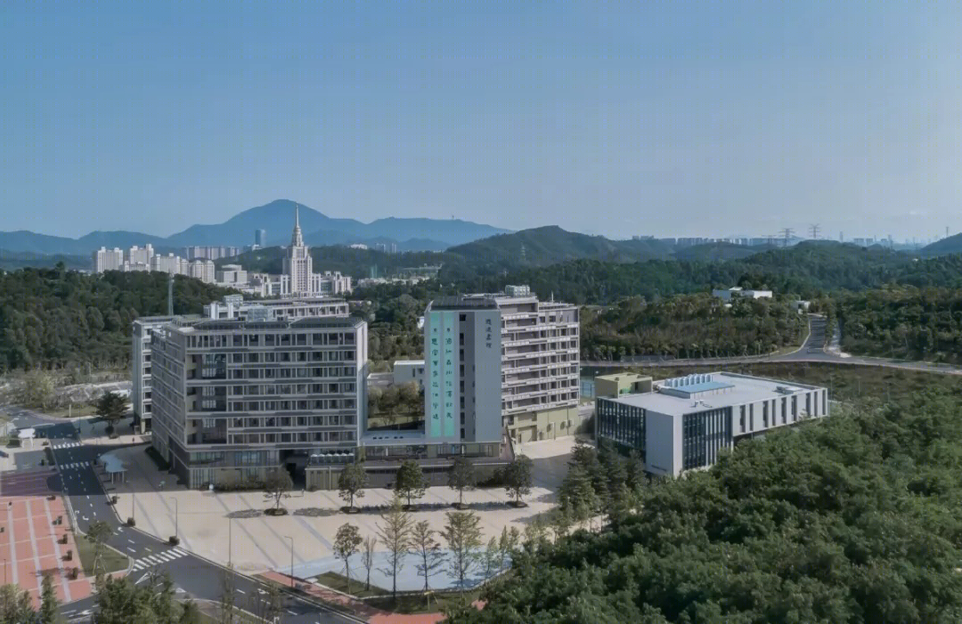香港中文大学思廷学院-8