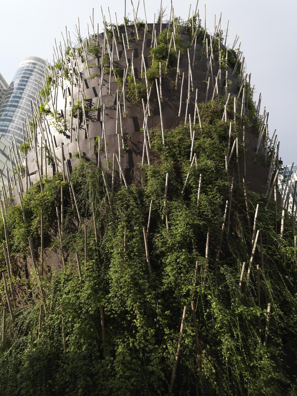 巴黎市中心“绿意盎然”的花坛景观-21