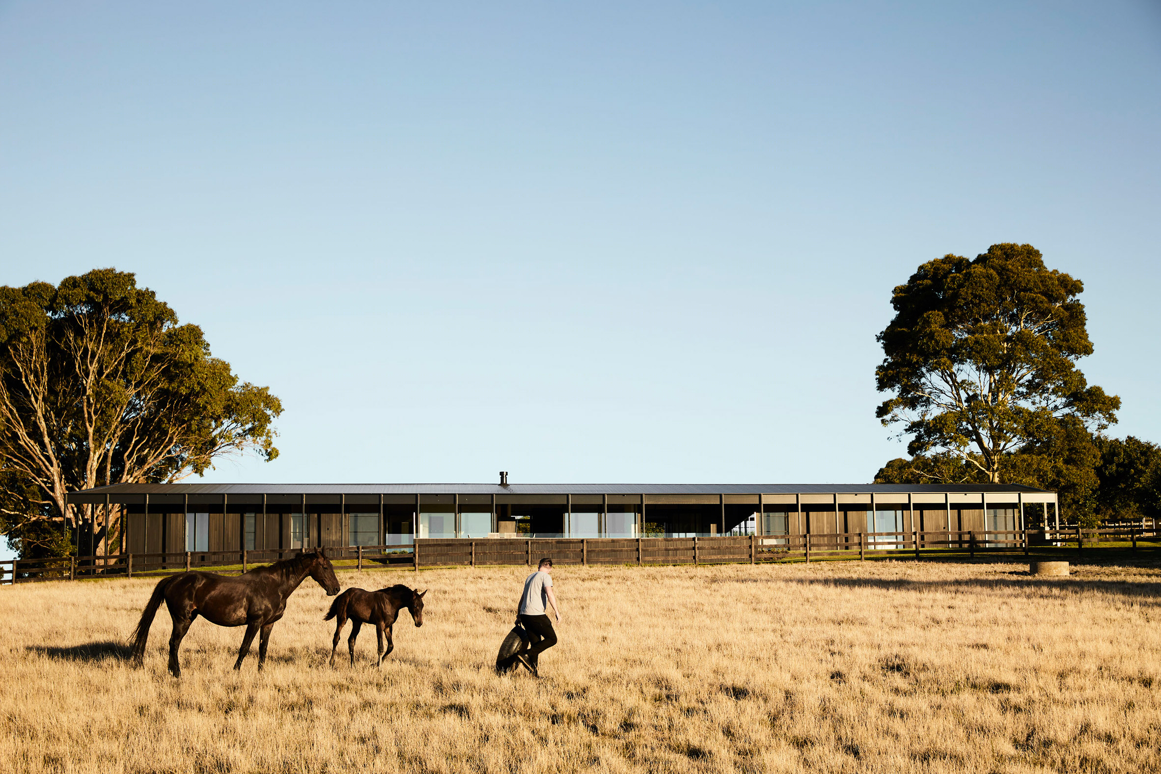 澳洲农庄现代居 | Red Hill Farm House-1