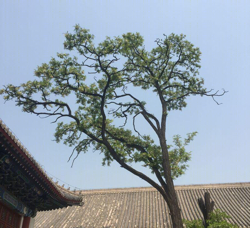 北京大学儒藏文化办公室红二楼室内设计丨中国北京-64