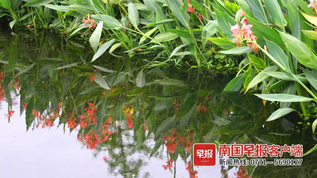 南宁“水上花海”及卧室装修丨中国南宁丨广西金堂果装饰-11