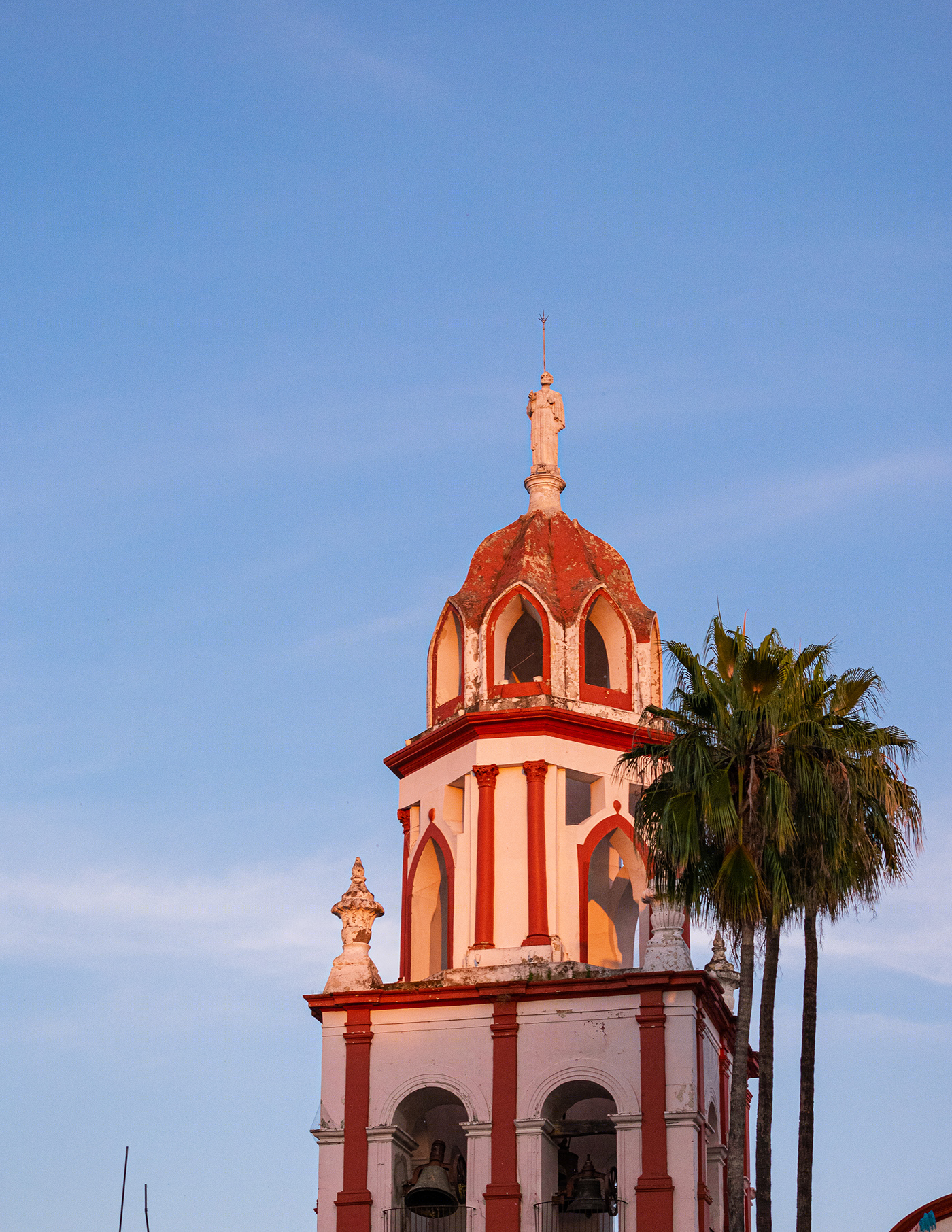 Tlaquepaque Rosa-1
